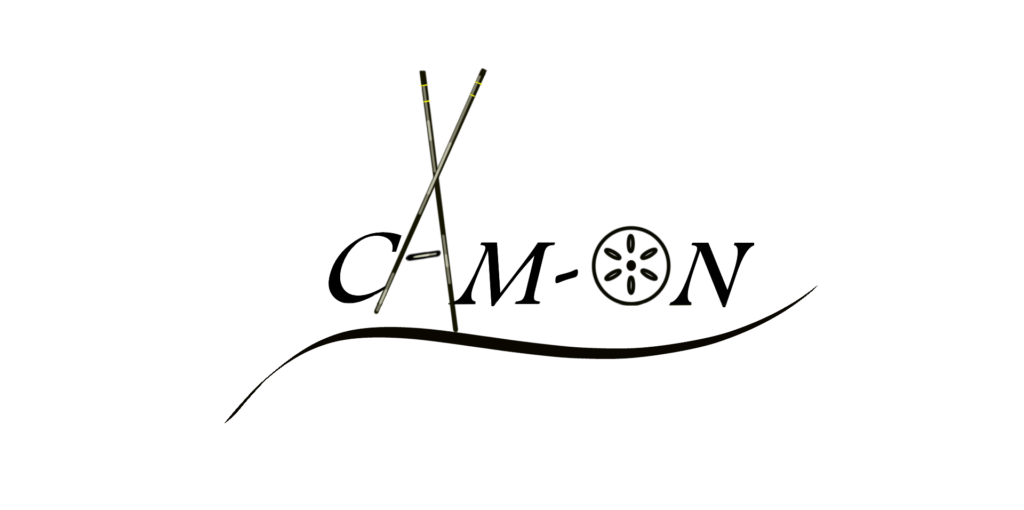 CAM-ON Logo